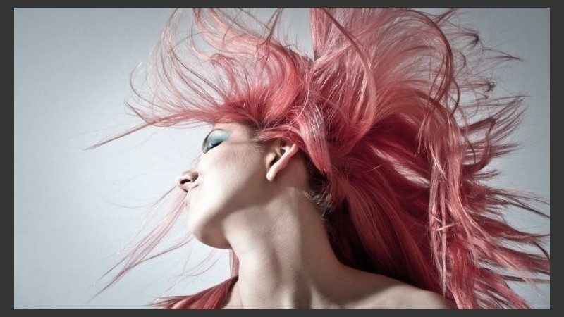 La coloración presenta sus novedades de estación 