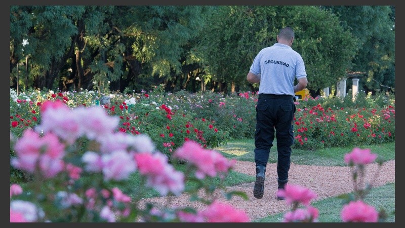 El municipio contrató seguridad privada para que no arranquen ni se roben las distintas plantas del parque.