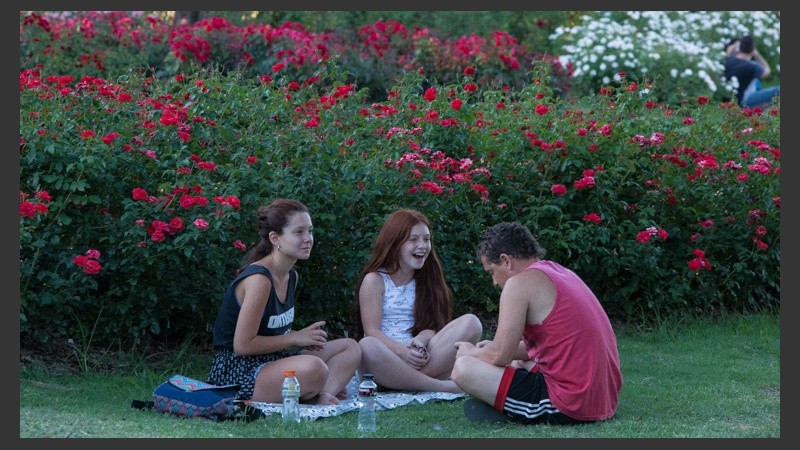 Una tarde de verano junto las rosas del Pauque Independencia.