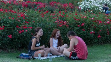 Una tarde de verano junto las rosas del Pauque Independencia.