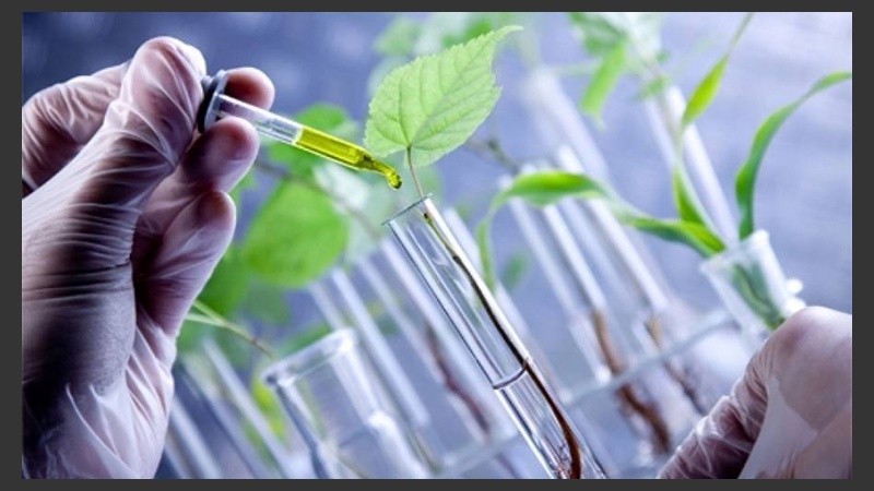 Destinadas a graduados universitarios en carreras de grado, con no más de 5 años de recibidos.