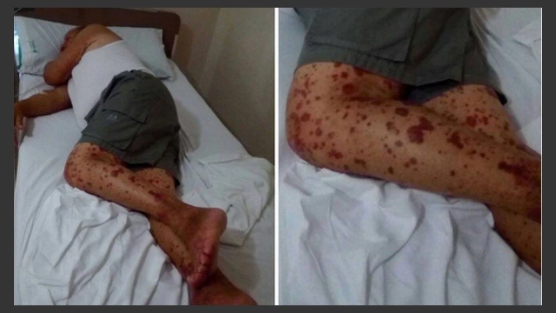 Diógenes tenía ocho hijos. 