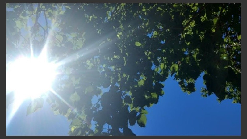 Un rato de sol y otro de sombra en este martes de verano. 