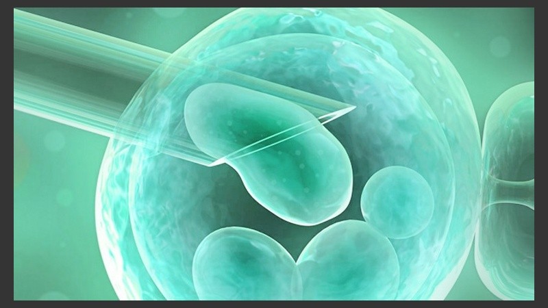 Ahora hay cerca de 7 millones de bebés nacidos por diferentes técnicas en el mundo.