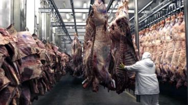 Entre enero y noviembre de 2017, China compró 86.500 toneladas de carne vacuna argentina.