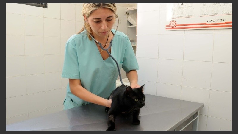 Las ordenanzas buscan mejorar el funcionamiento del Imusa.