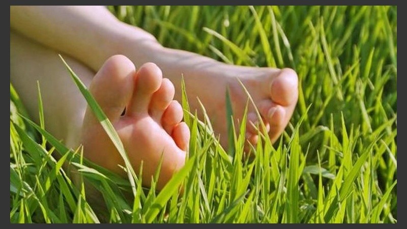 Aires frescos, tibios y un poco calientes para hoy. 