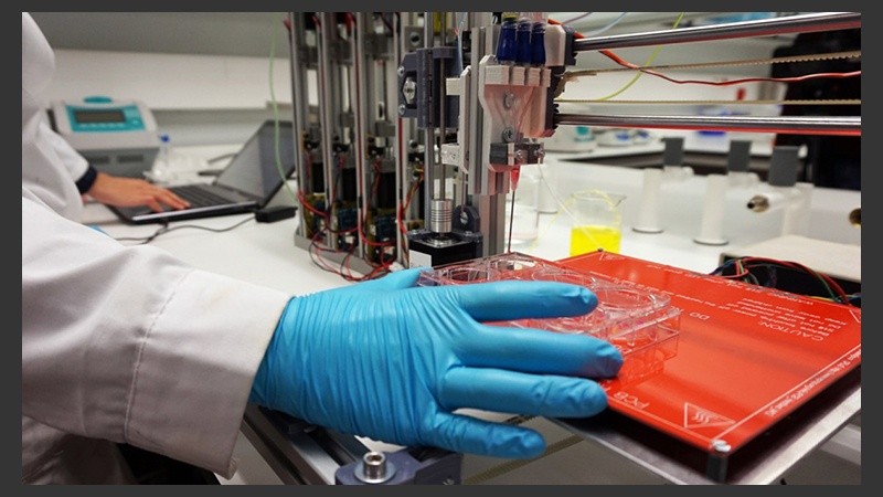 El proceso de creación empezó hace tres años y ahora se busca financiamiento para su producción a escala.