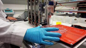 El proceso de creación empezó hace tres años y ahora se busca financiamiento para su producción a escala.