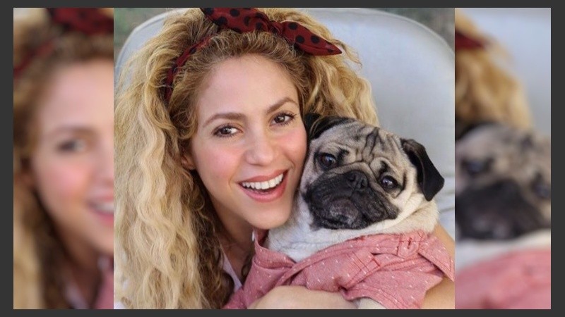 La defensa de Shakira alegó que en el plazo por que es investigada, la cantante pasaba la mayor parte del tiempo fuera de España.