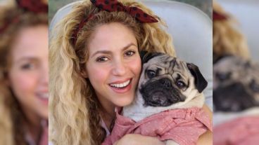 La defensa de Shakira alegó que en el plazo por que es investigada, la cantante pasaba la mayor parte del tiempo fuera de España.