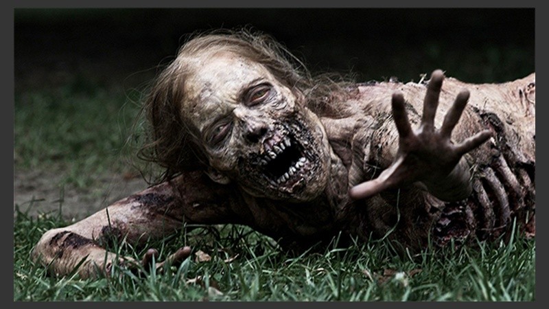 Esta infección podría propagarse en humanos como lo hizo la enfermedad de las vacas locas.