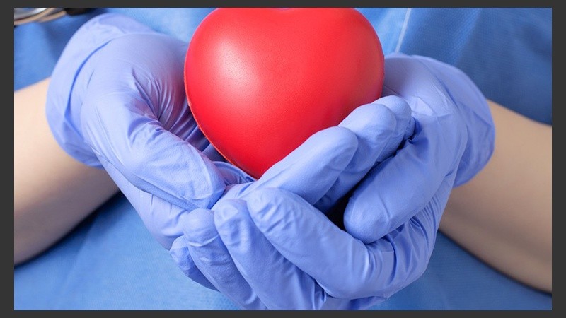 Durante 2017 se realizaron 77 ablaciones en Santa Fe.