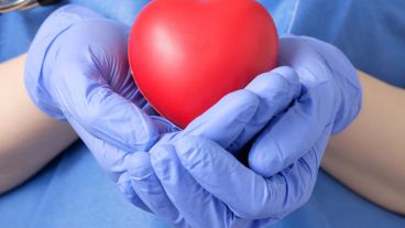 Durante 2017 se realizaron 77 ablaciones en Santa Fe.