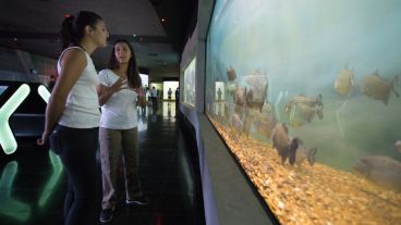 Así es el nuevo acuario de la ciudad. (Alan Monzón/Rosario3.com)