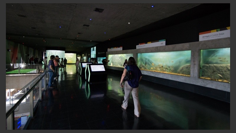 Así es el nuevo acuario de la ciudad. (Alan Monzón/Rosario3.com)