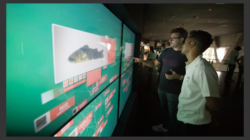 Así es el nuevo acuario de la ciudad. (Alan Monzón/Rosario3.com)