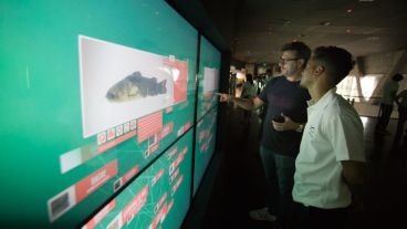 Así es el nuevo acuario de la ciudad. (Alan Monzón/Rosario3.com)