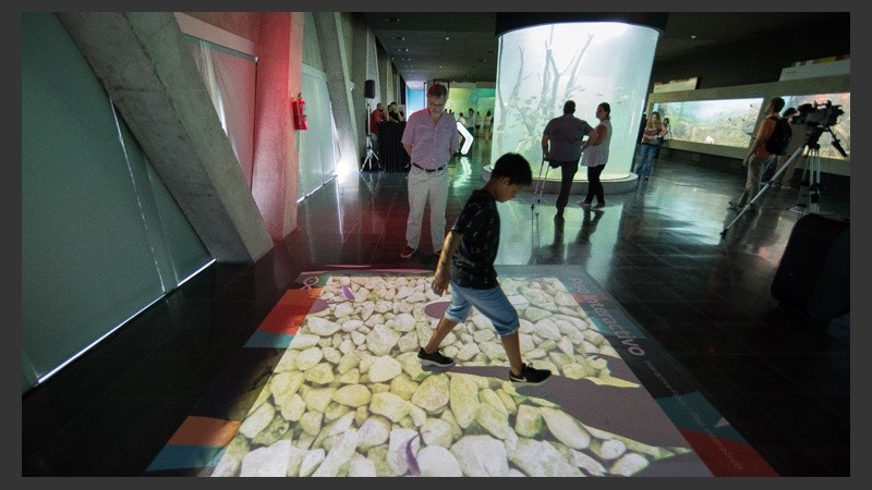 Así es el nuevo acuario de la ciudad. (Alan Monzón/Rosario3.com)