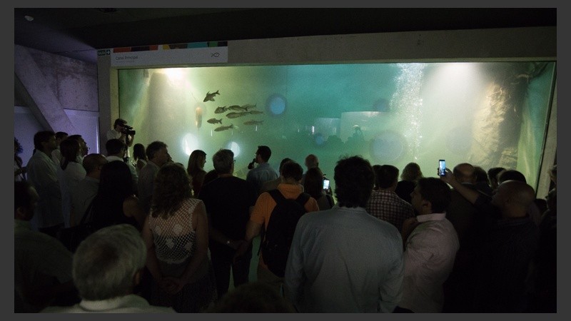 Así es el nuevo acuario de la ciudad. (Alan Monzón/Rosario3.com)