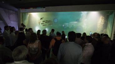 Así es el nuevo acuario de la ciudad. (Alan Monzón/Rosario3.com)
