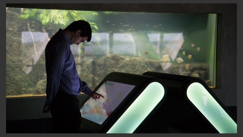 Así es el nuevo acuario de la ciudad. (Alan Monzón/Rosario3.com)