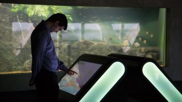 Así es el nuevo acuario de la ciudad. (Alan Monzón/Rosario3.com)