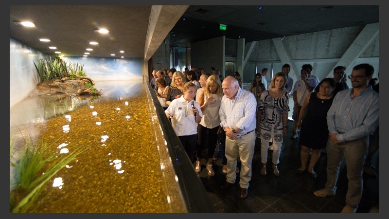 Así es el nuevo acuario de la ciudad. (Alan Monzón/Rosario3.com)