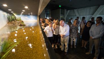 Así es el nuevo acuario de la ciudad. (Alan Monzón/Rosario3.com)