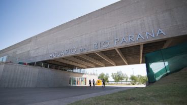 Así es el nuevo acuario de la ciudad. (Alan Monzón/Rosario3.com)