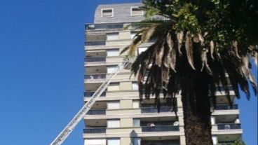 Escalera telescópica para monitorear la situación en altura.