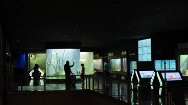 Imágenes de la inauguración del acuario de agua dulce más grande de Argentina.
