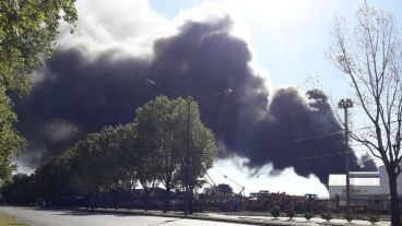 Las densas columnas de humo en la zona del incendio.