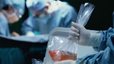 26 fueron trasplantes de órganos, seis de córneas y dos de válvulas cardíacas.