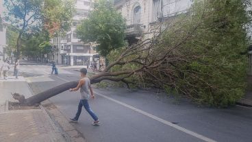 Tránsito interrumpido en la zona.