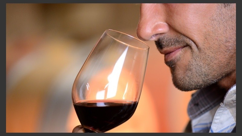 Los polifenoles del vino ayudan a evitar la presencia de las bacterias en la boca. 