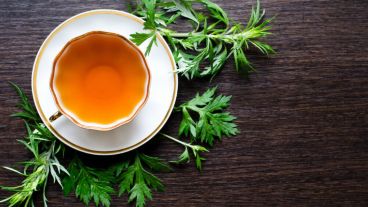 La forma más sencilla y práctica de ingerir el ajenjo es mediante infusiones.