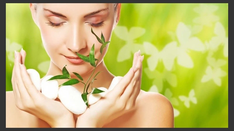 Procesos claros, limpios y amigables con el ecosistema