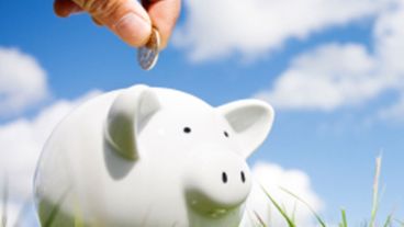 Los postulantes serán seleccionados por su desempeño académico.