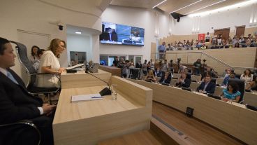 Fein abrió este miércoles las sesiones en el Concejo municipal.