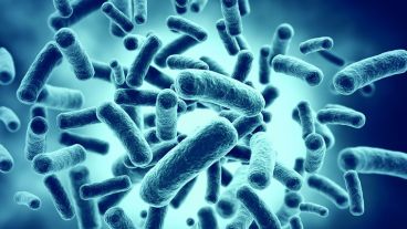 Este tratamiento no había tenido éxito en otros pacientes.