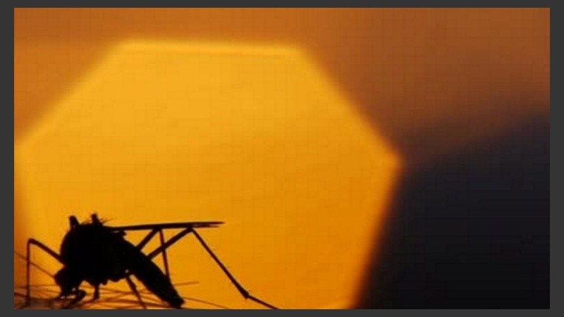 Sol y mosquitos para este martes.