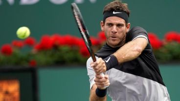Delpo obtuvo un triunfo que le permitió avanzar a octavos de final.