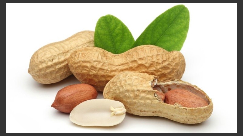 La intolerancia al maní es uno de los tipos de alergia más frecuentes entre los niños mayores de 3 años.