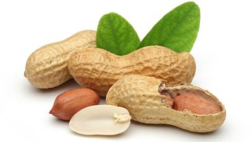 La intolerancia al maní es uno de los tipos de alergia más frecuentes entre los niños mayores de 3 años.