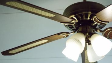 Que se detenga este viernes.