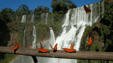 En el segundo puesto, están las Cataratas del Iguazú.