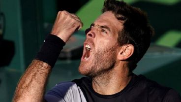 Delpo se impuso en una hora y cinco minutos de juego.