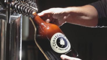 El concejal Estevez propone la regulación de la venta de cerveza artesanal.