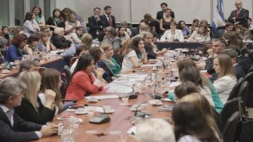 El proyecto de despenalización del aborto comenzó a debatirse en el plenario de comisiones.